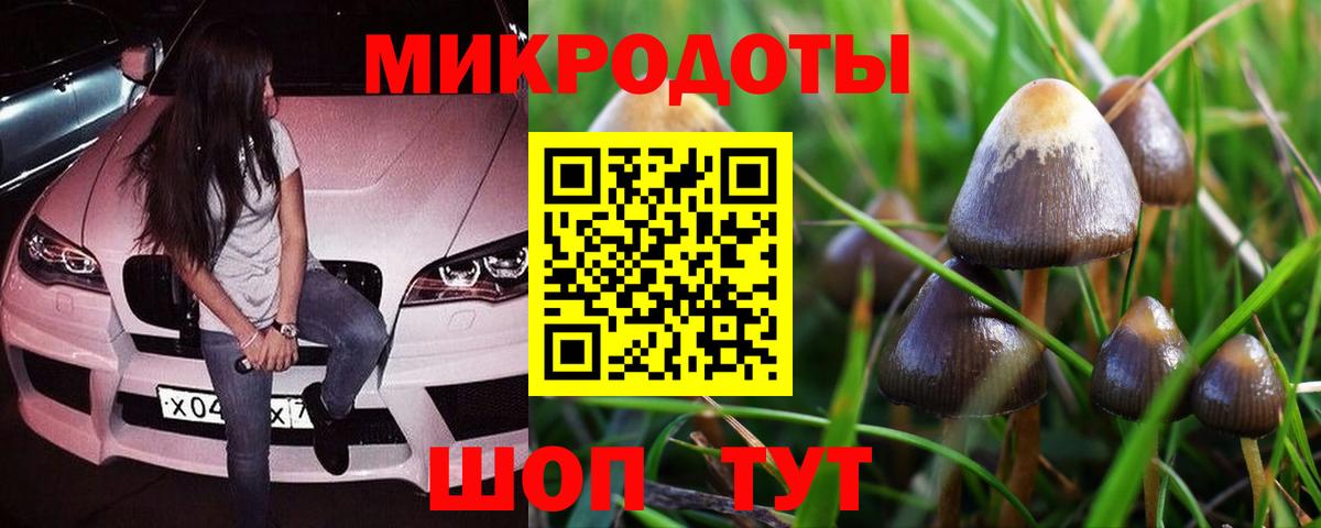 Псилоцибиновые грибы прущие грибы Алатырь